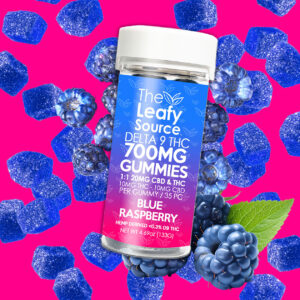 The Leafy Source 700mg 1:1 CBD and THC Delta 9 Gummies – Blue Raspberry
