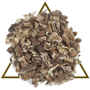 Organic Burdock Root