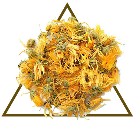 Calendula Herb at The Leafy Source