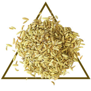 Organic Fennel Seed