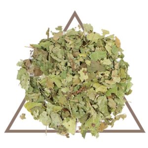 Organic Witch Hazel Leaf