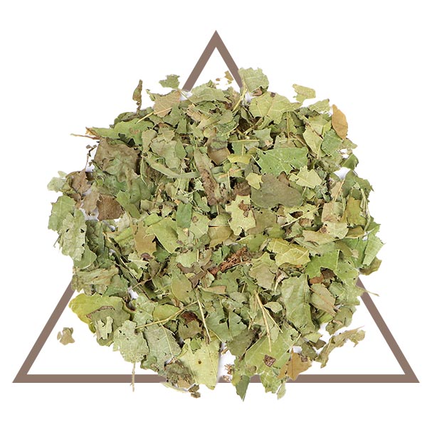 Organic Witch Hazel by House of Serenity Health & Wellness