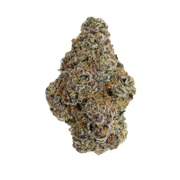 Candy Bomb THCa flower bud with dense trichome coverage and deep coloring, indica hemp strain from The Leafy Source